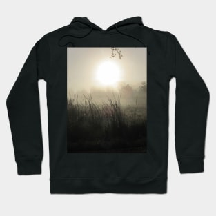 Morning Myth Hoodie